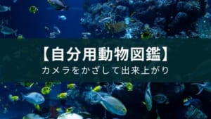 動物園や水族館に行く前に入れたいアプリ『LINNE LENS』